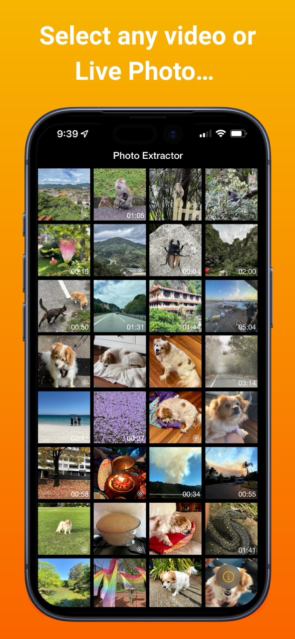Photo Extractor — choosing a video or Live Photo from your library